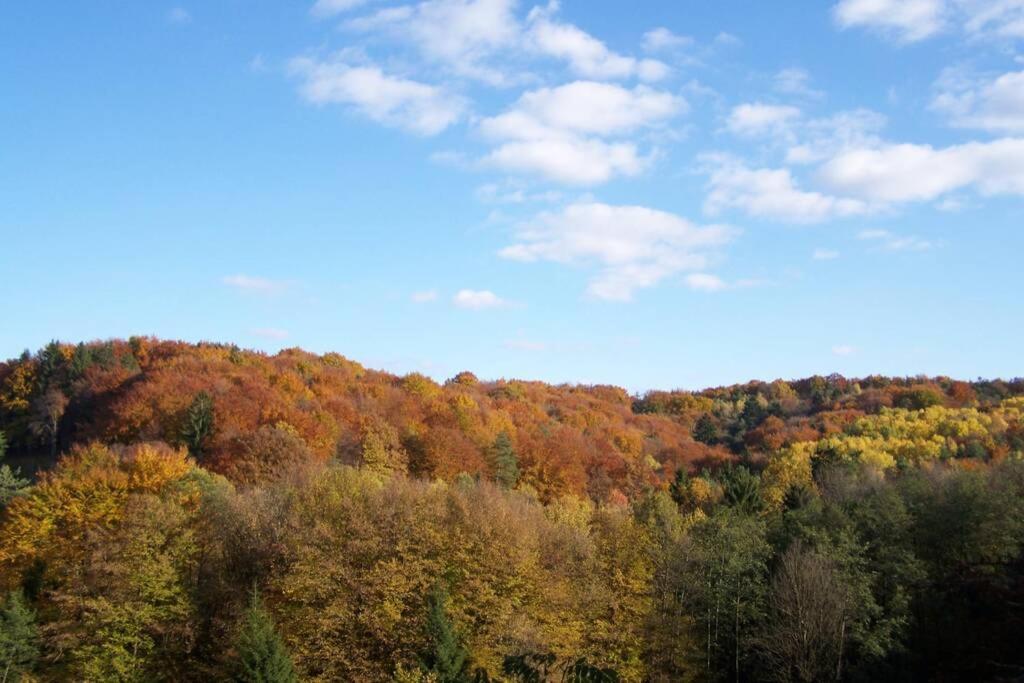 Stilvolles Landhaus Im Dreilaendereck Felsőszölnök 外观 照片
