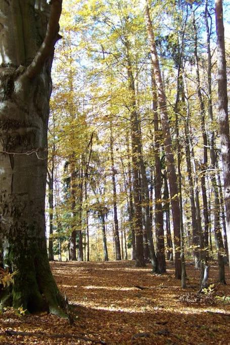 Stilvolles Landhaus Im Dreilaendereck Felsőszölnök 外观 照片